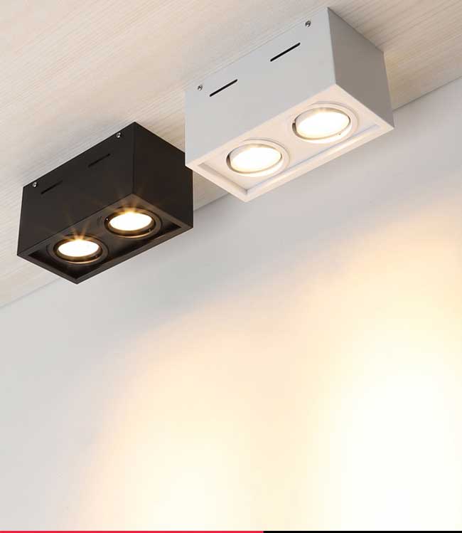 Đèn LED chiếu điểm ốp trần dạng hộp đôi spotlight 2x7w xoay góc TL-OBV-02
