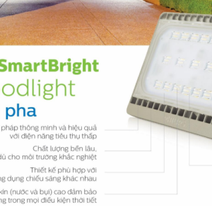 den-led-pha-floodlight-bvp161-30w-philips