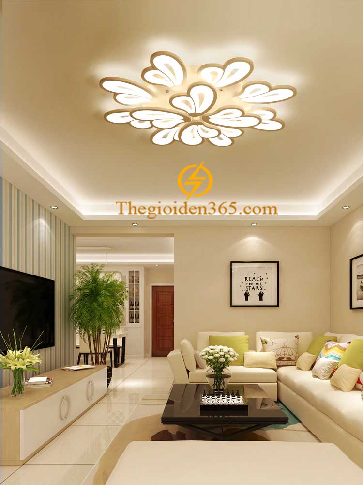 Đèn ốp trần hiện đại trang trí nội thất cao cấp D880 TL-TT23-12